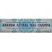 INCENSI NATURALI AL NAG CHAMPA ANANDA ASTRAL