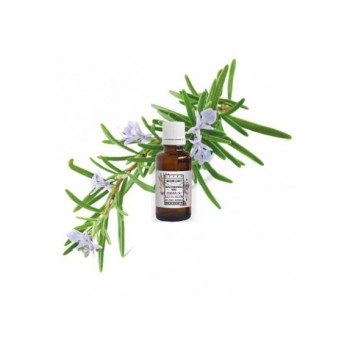 OLIO ESSENZIALE DI ROSMARINO BIO DI PROVENZA 10 ml