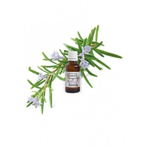ROSMARINO DI PROVENZA OLIO ESSENZIALE BIO