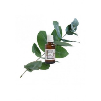 EUCALIPTO OLIO ESSENZIALE BIO
