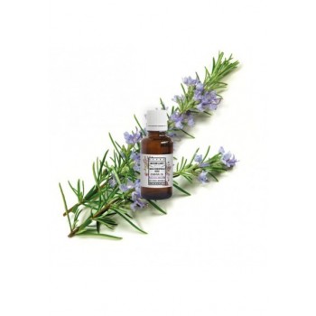 OLIO ESSENZIALE DI ROSMARINO BIO CT VERBERONE 5 ML