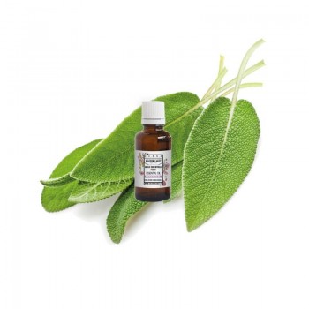 OLIO ESSENZIALE DI SALVIA SCLAREA