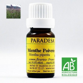 MENTA PIPERITA OLIO ESSENZIALE BIO