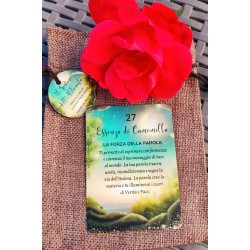 ORACOLO DELLE ESSENZE PROFUMATE 42 CARTE CON E-BOOK