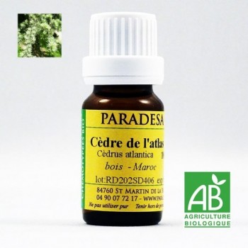 OLIO ESSENZIALE DI LEGNO DI CEDRO DELL'hIMALAYA BIO 10 ml