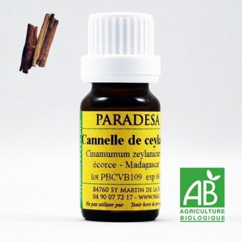 OLIO ESSENZIALE DI CANNELLA