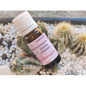 Olio essenziale di lavanda Provenza. Olio essenziale di lavanda bio