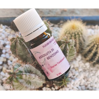 Benzoin absolu. Essence de Benzoin.