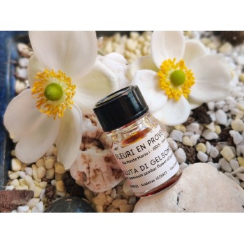 ASSOLUTA DI GELSOMINO 1 ML