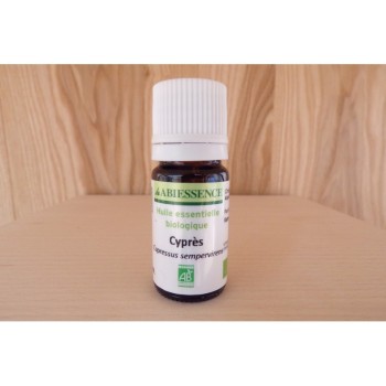 Olio essenziale di cipresso. Essenza di cipresso.